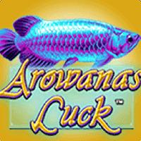 Arowanas Luck